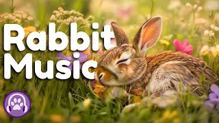 Instant Bunny Soother  Calming Music to Relax Your Rabbit 🐰 [upl. by Lazor]