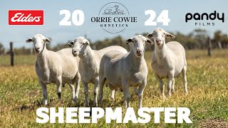 Orrie Cowie 2024 SheepMaster PreSale video [upl. by Nauqyt]