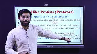 Bio Grade 11 Chapter 6 Knowledge 62 Lecture 2 NCP  2022 [upl. by Arehs]