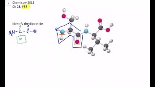 Identify the following dipeptide [upl. by Vyse830]