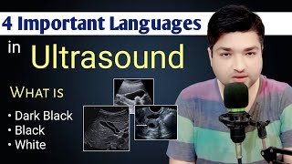 4 Important Language in Ultrasound by Dr Ali Waqar [upl. by Osanna967]