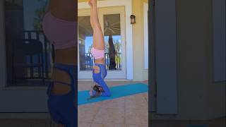 Headstand tutorial yoga [upl. by Weisberg48]