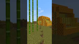 Minecraft FarmLands 121 Fabricando Mel META 10K Inscritos minecraft suvival [upl. by Wynny]