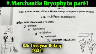 Marchantia Bryophyte part1  Morphology and Anatomy of Marchantia thallus  BSc 1st year Botany [upl. by Leia]