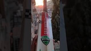 Best Bat By Gray Nicolls  English Willow Bat  Cricket Bat  Cricket cricketgear Shorts bat [upl. by Morgan]