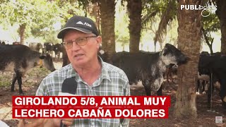 PUBLIAGRO GIROLANDO 58 ANIMAL MUY LECHERO CABAÑA DOLORES [upl. by Mariejeanne]