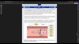 Lecture 8 Physiology Male reproductive system Part 2 [upl. by Denni]