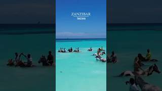 Exploring Zanzibar Tanzania [upl. by Xylon964]