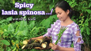 Have you ever tried Kohila Wada spicy lasia spinosa කොහිල වඩේ in a Green vibe healthy cooking [upl. by Care]