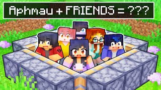 Aphmau  ALL FRIENDS   In Minecraft [upl. by Irej]