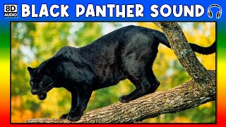 🐾 BLACK PANTHER SOUND  BLACK PANTHER SOUND EFFECT  SOUND OF BLACK PANTHER  NOISE OF BLACK PANTHER [upl. by Grider]