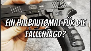 Mauser M20 22 LR HV Fangschuss Waffe für die Fallenjagd Kleinkaliber [upl. by Ira]