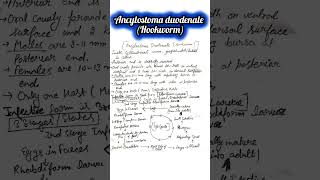 🔥Ancylostoma duodenale👉Hookworm📚Parasitology📚science ignou msczoology biology ignouuniversity [upl. by Ailuj]