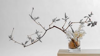 Kevin Shields  Ikebana [upl. by Uird90]