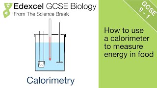 7 Edexcel GCSE Biology  Calorimetry [upl. by Anehsat]