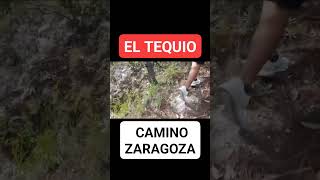 EL TEQUIO  Camino de Zaragoza MOTOZINTLA CHIAPAS  4D FAMâ–¶ [upl. by Kronfeld]