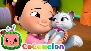 Cece Had a Little Cat  CoComelon Nursery Rhymes amp Kids Songs [upl. by Eelloh]