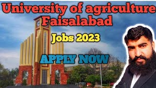 University of agriculture Faisalabad Jobs 2023  Uaf jobs apply procedure Captain Hero 544 [upl. by Bay]