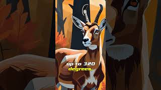 Animal Facts Pronghorn animalfacts wildlife wildanimals shorts wildlifeanimals dailyfacts [upl. by Tiffany]