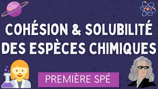 Cohésion et Solubilité des espèces chimiques  Première Spécialité Physique Chimie [upl. by Guimond]