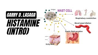 VET PHARMA 2  Intro to Histamine  AY 20222023 2 [upl. by Chaffinch183]