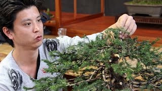 Bonsai demo by Masashi Hirao [upl. by Savihc]