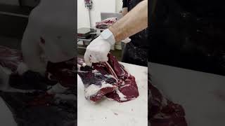 Removing the Deer Femur Bone 🔪🦌 shorts deer venison butcher [upl. by Reimer680]