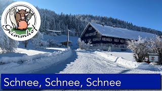 FarmVLOG98  Schnee Schnee Schnee ist doch richtig schee [upl. by Zetram841]