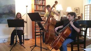 Divertimento for Viola Cello amp Double Bass Michael Haydn [upl. by Orecic]