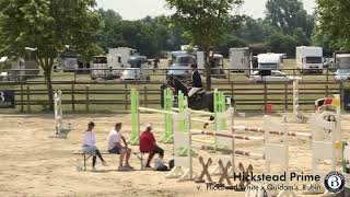 Hickstead Prime  Wallach  2017 geboren Hickstead White x Quidams Rubin [upl. by Ande]