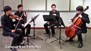 Canon in D by Pachelbel Vetta Quartet from Singapore [upl. by Theresa57]