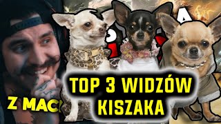 PIESKI KISZAKA ROBIĄ HAU HAU 👨‍🦽  TOP 3 WIDZÓW WZGLĘDEM IQ [upl. by Wengert]