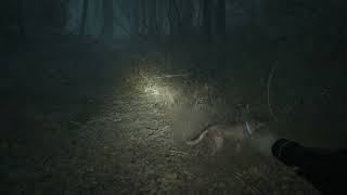 volvemos al bosque embrujado  blair witch gameplay cap 3 [upl. by Marl709]