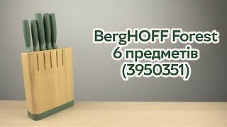 Розпаковка BergHOFF Forest в колоді 6 предметів 3950351 [upl. by Suivatco]