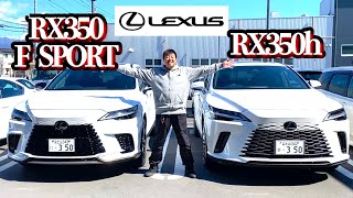 レクサスRX350 F SPORT amp RX350hを運転してきたぞ！ [upl. by Par833]