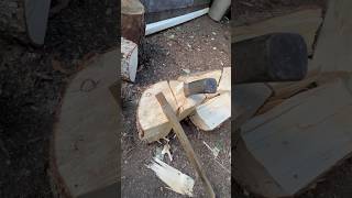 AN AXE SPLITTING RULE TO LIVE BY…axe woodchopping firewood firewoodsplitting axesplitting [upl. by Saidee222]