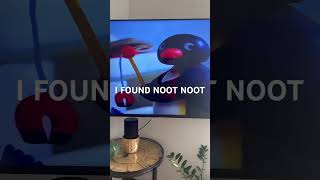 NOOT NOOT FOUND penguin animation nootnoot memes [upl. by Meehyr]