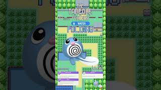 Poliwag → Poliwhirl → Poliwrath  Politoed [upl. by Vincelette]