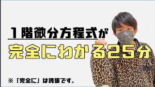 【エクストリーム微分方程式】1階微分方程式の解き方をマスター！ 〜変数分離形からリッカチまで [upl. by Entruoc249]