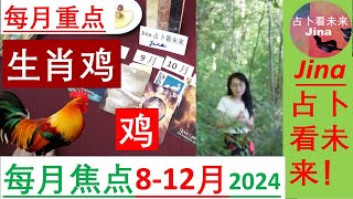 生肖鸡🐓8月12月每月焦点2024年🍀个人占卜请点击视频下方的内容介绍🌞 [upl. by Fredkin]