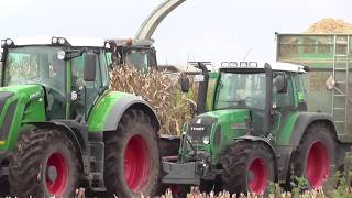 Maishäckseln 2017 im Moor mit ein Claas Jaguar 970 DP [upl. by Aciria]