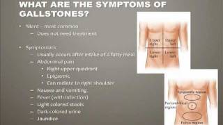 Diseases of the Gallbladder [upl. by Hacceber]