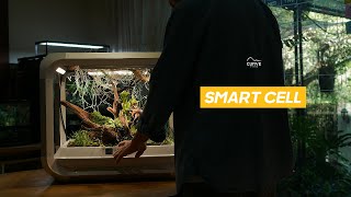 A Smart Cell Tank Paludarium [upl. by Notfa]