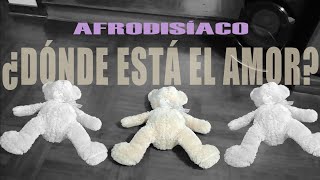 Dónde está el amor Afrodisíaco  Cover [upl. by Nnyrb652]