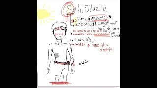 Sulfasalazine adverse effects [upl. by Ettessil]