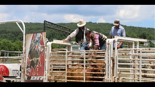 Raising bucking bulls for the rodeo [upl. by Roselba]