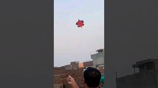 Gudi bazi 😘 Patang bazi with Mahool 🙂 Kite Flying 😉 Before Basant 2024 [upl. by Anat80]