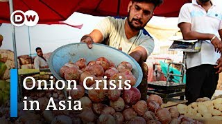 Great Onion Crisis India bans onion exports  DW News [upl. by Jaquiss]