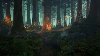 Enchanted Forest  Music amp Ambience ✨🌲🧚🏻 [upl. by Fernald]