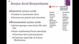 135Overview of Amino Acid Biosynthesis [upl. by Kraus]